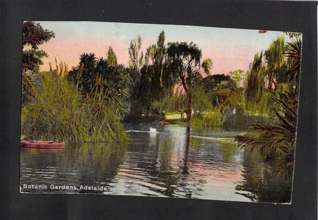 A5215 Australia SA Adelaide Botanic Gardens Pond pu vintage postcard