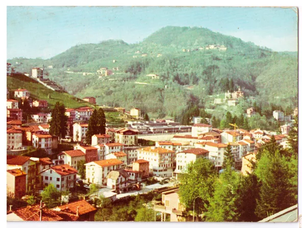 Cartolina Veneto - Vicenza - Recoaro Fonti 6427 - Panorama