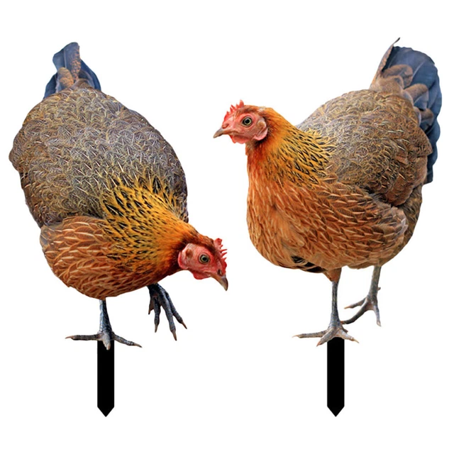 2 Pcs Garden Chicken Statue rooster yard stake Insert Card Acrylic