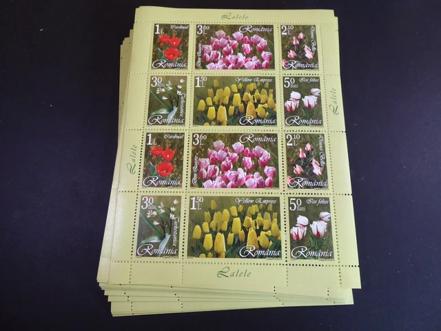 2006 Rumänien; 100 Kleinbögen Tulpen, **/MNH, MiNr. 6055/60 II, ME 1300,-