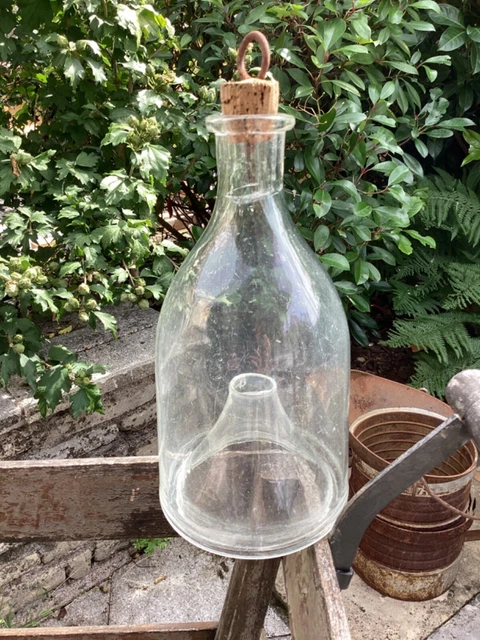 Ancien Piège à Vairons Bouteille en Verre Soufflé Art