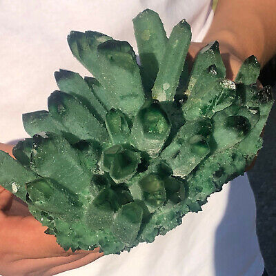 3.47LB New Find Green Phantom Quartz Crystal Cluster Mineral Specimen Healing