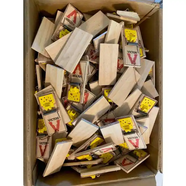 Box of 80 + Mouse traps New Victor Wooden Lot