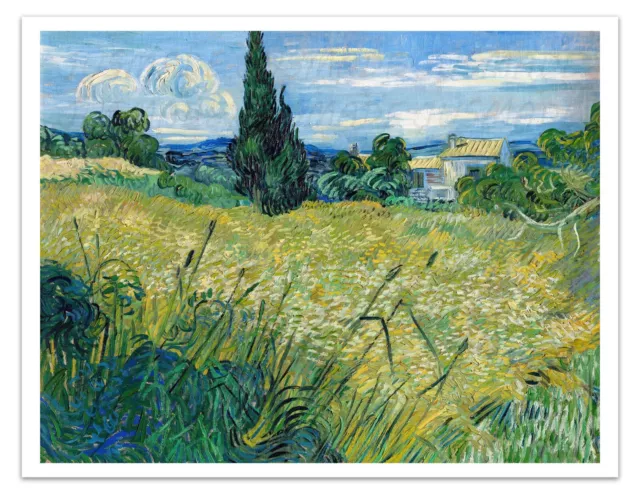 Vincent Van Gogh GREEN WHEAT FIELD (1889) Painting Art Print/Poster 17x22"