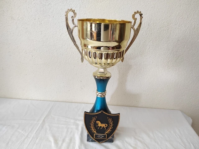 Coupe Trophée Sport Sur Socle Marbre – Hauteur 30,5 Cm – Occasion – France