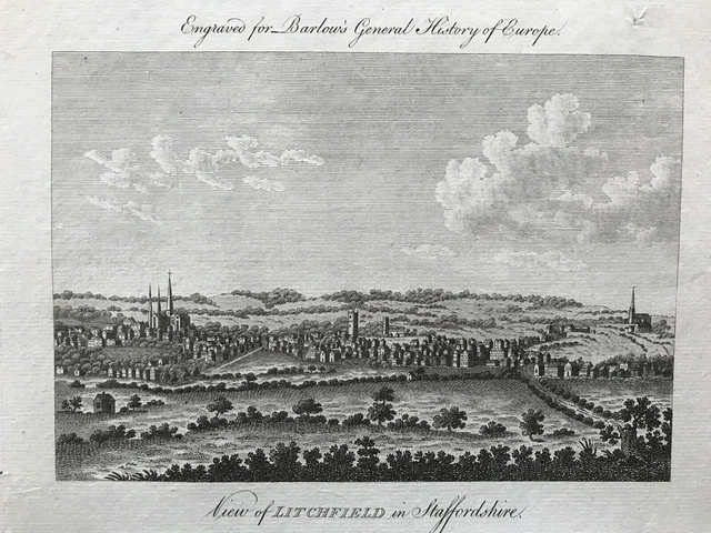 1791 Antique Print; View of Lichfield, Staffordshire