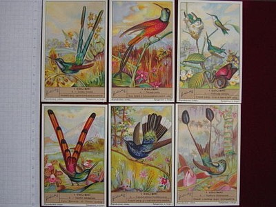 1327 RIF CATALOGO UNIFICATO  2001 LIEBIG  I Colibrì SERIE COMPLETA n 