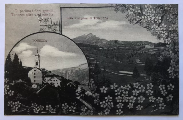 Cartolina Tonezza panorama veduta Vicenza Veneto paesaggistica T11