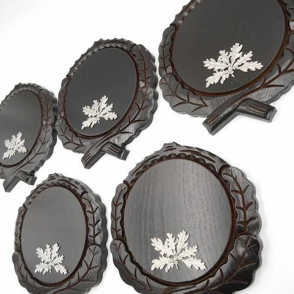 5 Pieza Keilerschilder Tallado Oscuro Af 17,5 CM + 5x 6-blättrigen Hoja de Roble 3