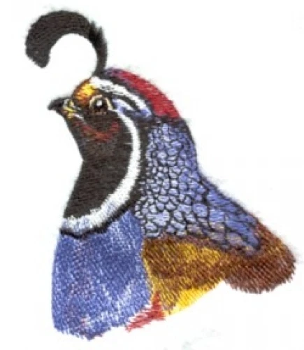Embroidered Long-Sleeved T-Shirt - Quail BT4593