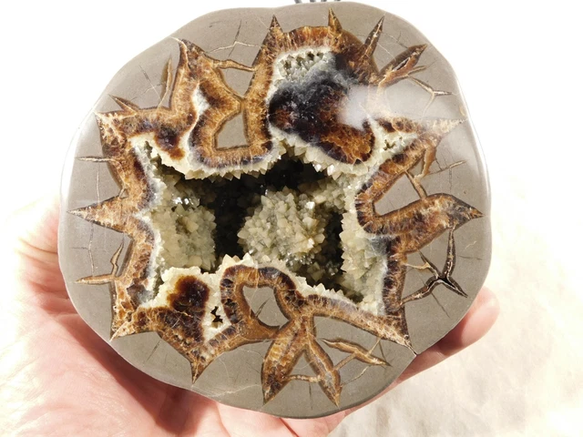 BIG! Polished AAA Septarian Crystal GEODE! From Utah 1212gr
