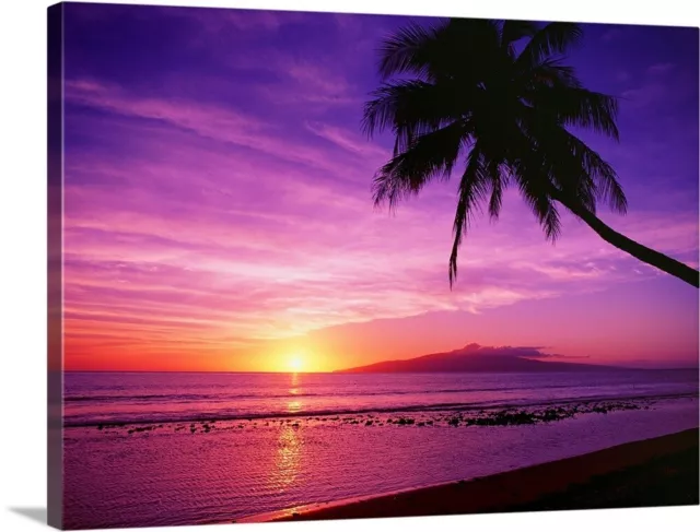 Hawaii, Maui, Olowalu, Palm Tree Canvas Wall Art Print, Palm Tree Home Decor