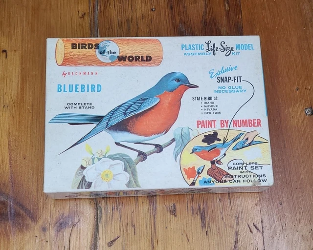 VTGBACHMANNBLUEBIRD BIRDS OF the WorldModel BIRD 89.