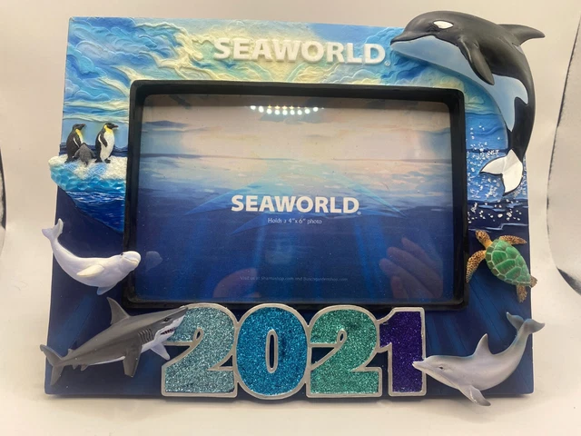 Sea World 2021 Photo Frame 4x6 Ocean Broken Fin Shark