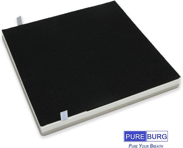Laags Filter Voor Het Beurer LR 300, LR 310 | Pack (1 Stu