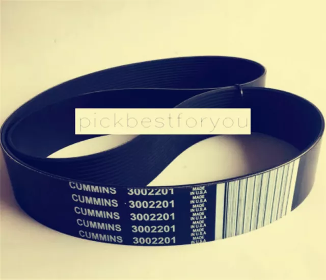1PCS New 3002201 Cummins Fan Belt #M29C QL