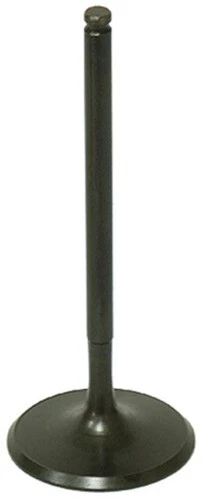 Bronco Intake Valve AU-09222I 128359