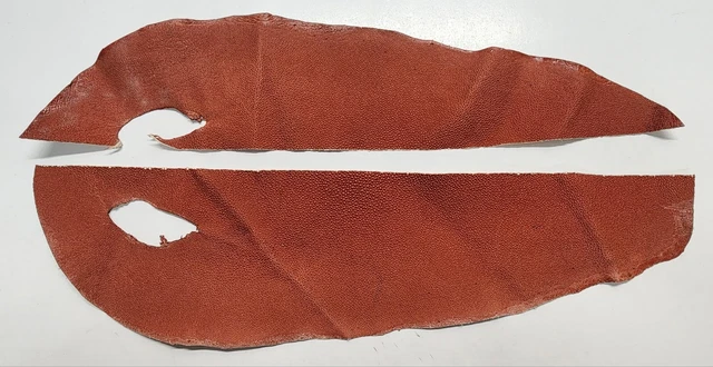 Stingray Remnant SRO-1871-2P