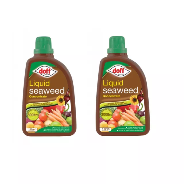 2 Doff Liquid Seaweed Concentrate Organic Plant Food Shrubs Vegetables Feed 1L