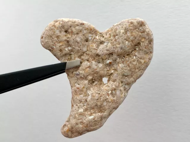 Natural ❤️ Heart Shaped Beach Holey Rock Love Fairy Wedding Stone Valentine Hag