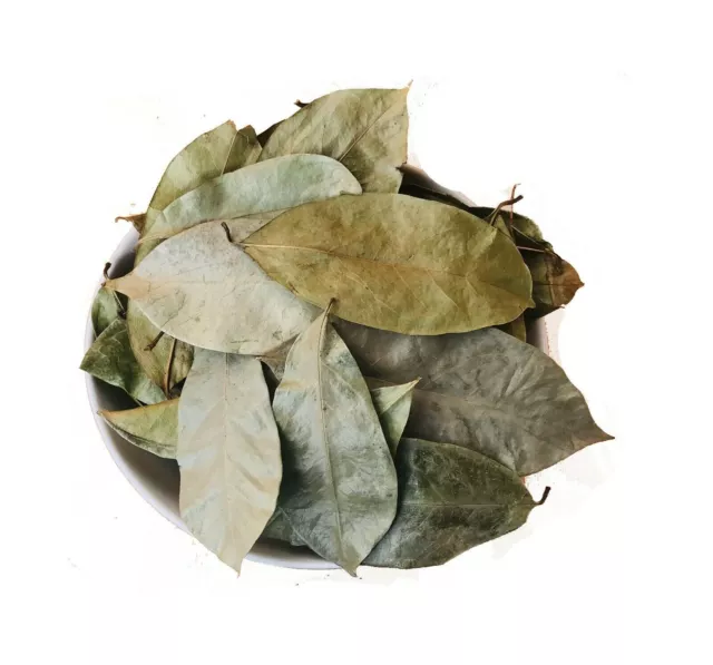 Sri Lankan dried Sour sop Leaves 100% Organic Soursop/Guanabana/Graviola free