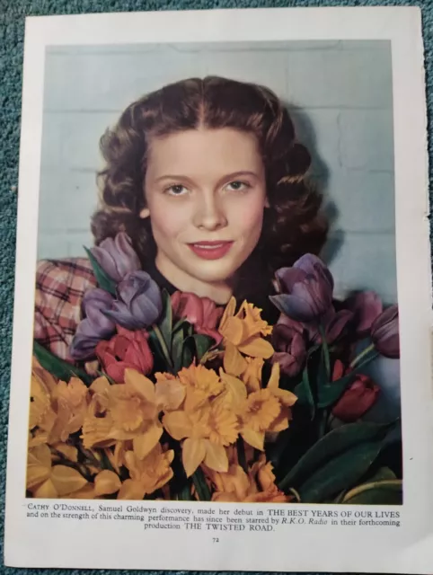 L1z Ephemera 1950s Film Picture Cathy O Donnell