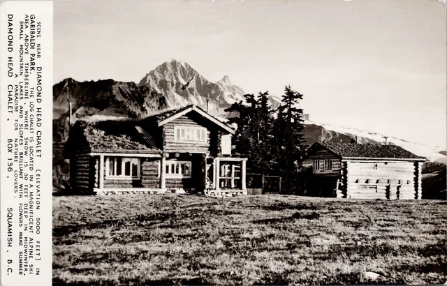 Diamond Head Chalet Squamish BC Unused Baird Leonard Frank RPPC Postcard E59