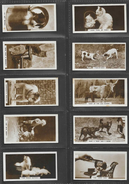 de reszke cigarette cards real photographs DE RESZKE CIGARETTE Cards REAL PHOTOGRAPHS (3rd Series) 1932 - Set of 27  £3.31