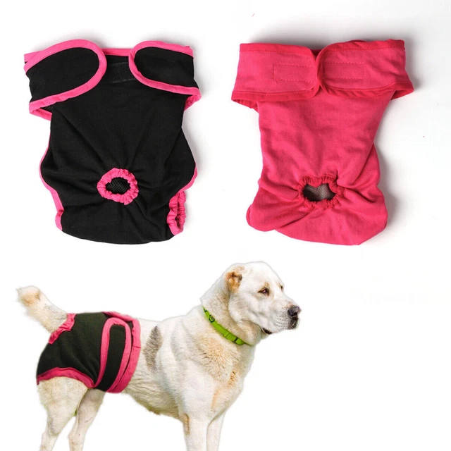 Dog nappy pants cheap