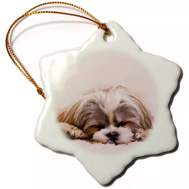 3dRose Shih Tzu. Sleeping. Best friend. 3 inch Snowflake Porcelain Ornament