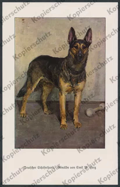 Farblitho Emil W Herz Deutscher Schäferhund Neue Sachlichkeit Malerei Kunst 1926