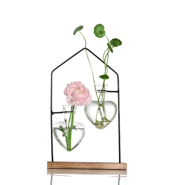 Terrarium Mural Grovind 3 Niveaux - Support Bois Avec Tubes Verre - Jardinière Hydroponique Déco Maison/Bureau
