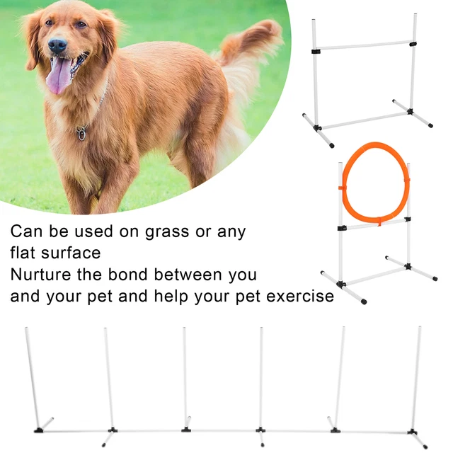 Attrezzatura per addestramento agilità animale domestico cane barra regolabile salto ostacolo palo cerchio frutta Gf0