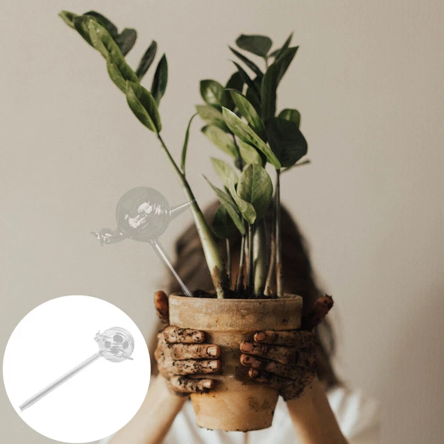 Self Watering Spikes Watering Device Flower Bed Decor Floral Decor Watering Can