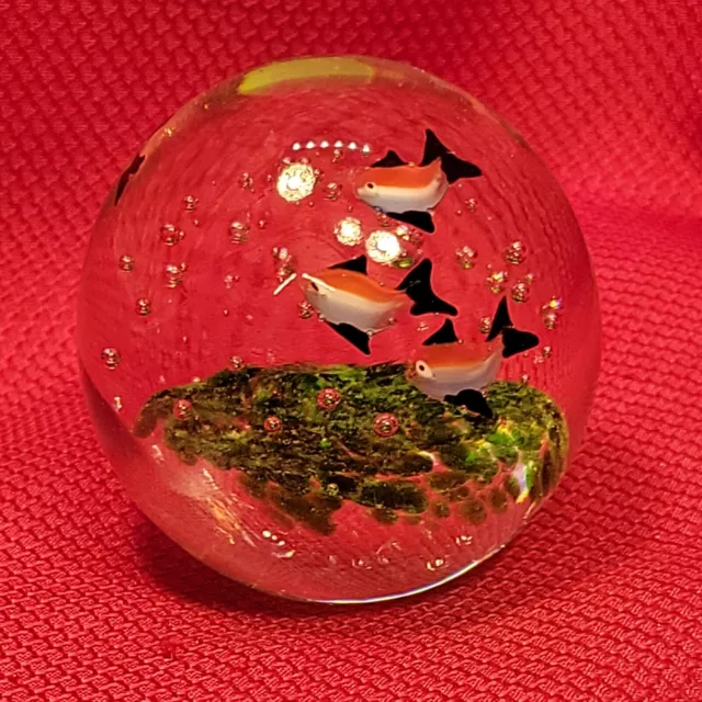 Tropical Fish Crystal Ball 3" CLEAR ART GLASS SPHERE Paperweight decoration sea