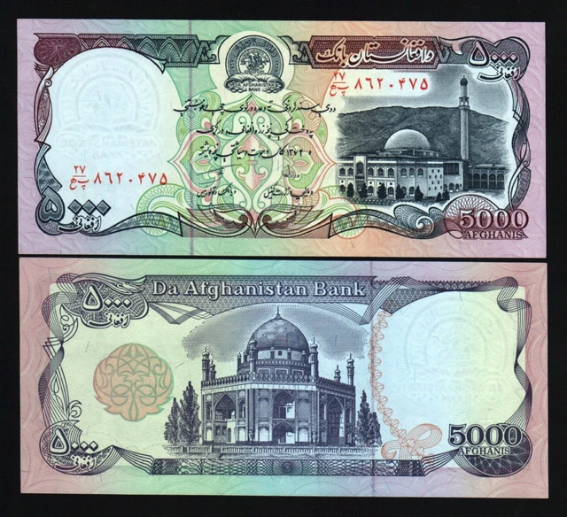 Afghanistan 5000 Afghanis 5,000 P-62 1993 Coin on Bank Note Currency Money Cir