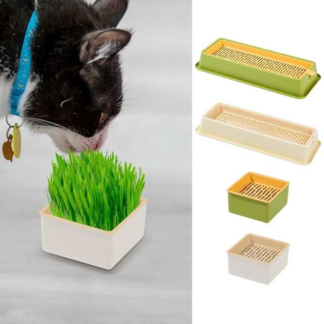 Cat Grass Planting Box Plant Growing Kit Hydroponic Cat Grass Soil-Free Planter