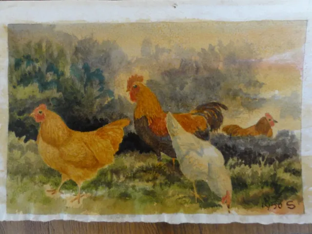 Original Watercolour Edwin W Slater " A Group Of Fowls, Victoria " 1950 Signed