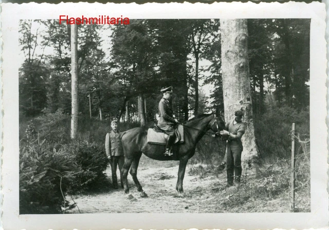 Photographie Teintée 'Cheval Et Chariot' - Guerre Civile Américaine - Reproduction 01838