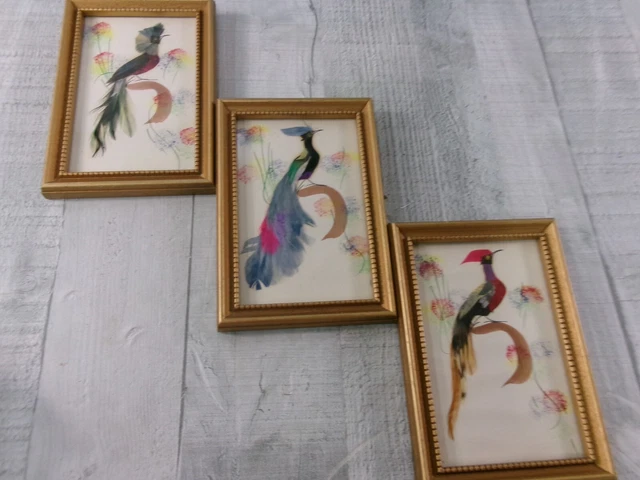 3 Vtg Feather Craft Picture Birds Branch Long Tail Framed Lot