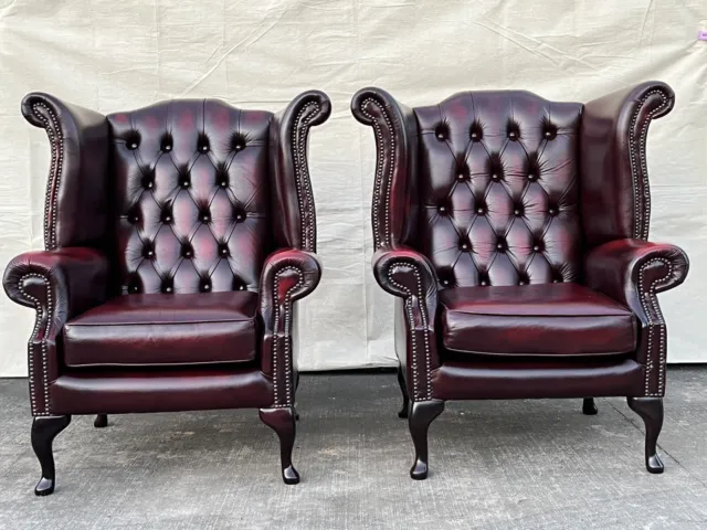 Beautiful Pair Of Chesterfield Queen Anne Wingback Armchair - Armchairs x 2