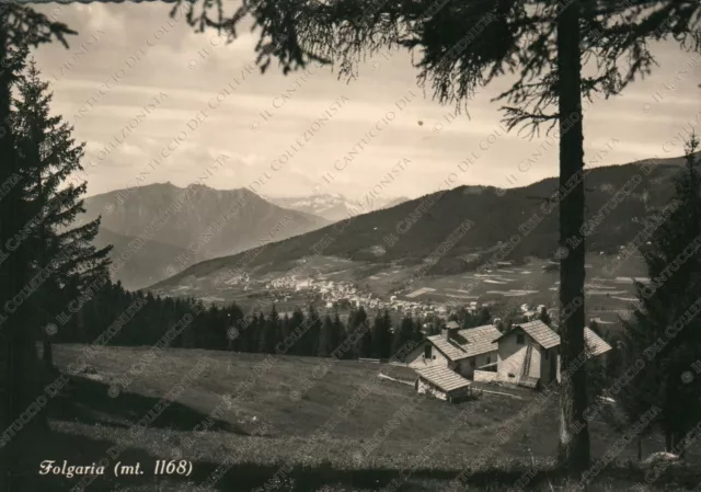 1955 FOLGARIA Panorama vallata montagna pineta Trento Cartolina