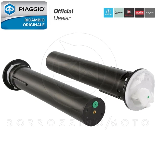 Pannello Sportello Piaggio Quargo lato destro