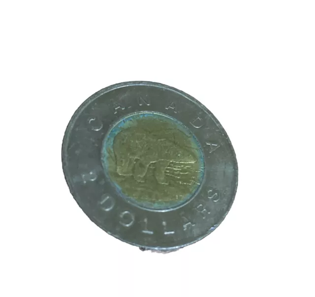 Canada Canadian 2 Dollar Coin 2005 Queen Elizabeth II Polar Bear 2