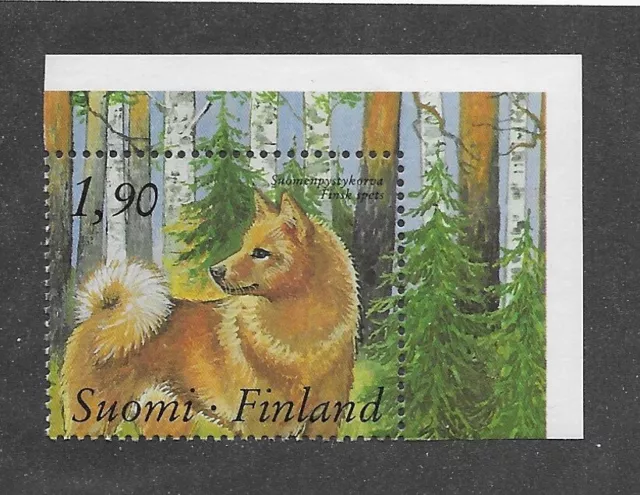 RARE Art Body Study Portrait Postage Stamp FINNISH SPITZ DOG 1988 Finland MNH