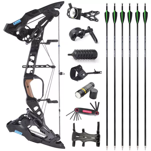 21.5lbs-60lbs Compound Bow 330fps Steel Ball Dual Purpose Archery Arrows Hunting