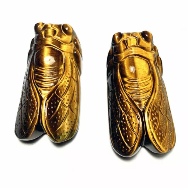 Raw Natural Tiger Eye Stone Carved Cicada Quartz Crystal Pendant Chakra Healing