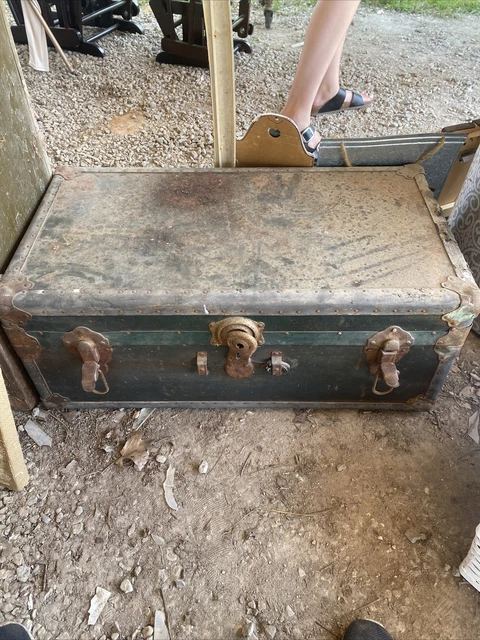 trunk