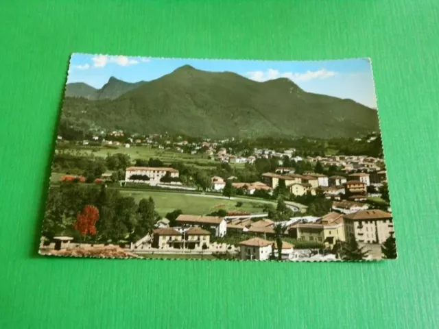 Cartolina Induno Olona - Scorcio panoramico 1960 ca