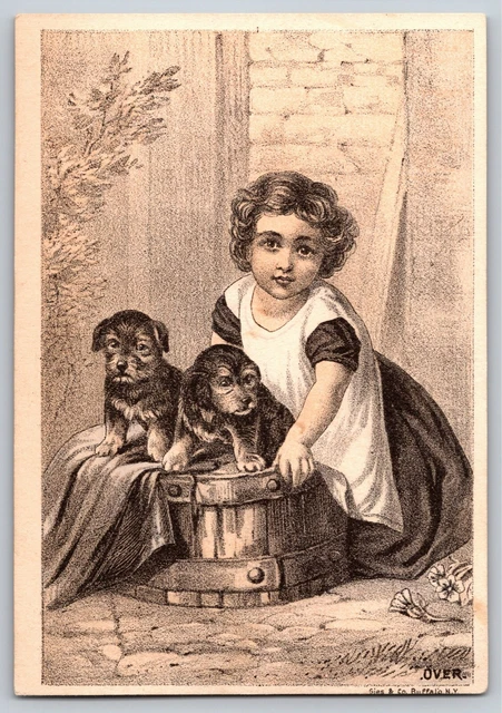 Girl with Two Puppies / Dogs on Blanket Wooden Tub Blank Victorian Trade Card